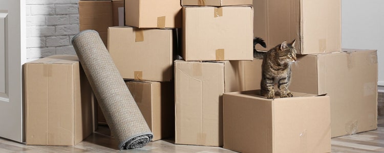 Moving House Services