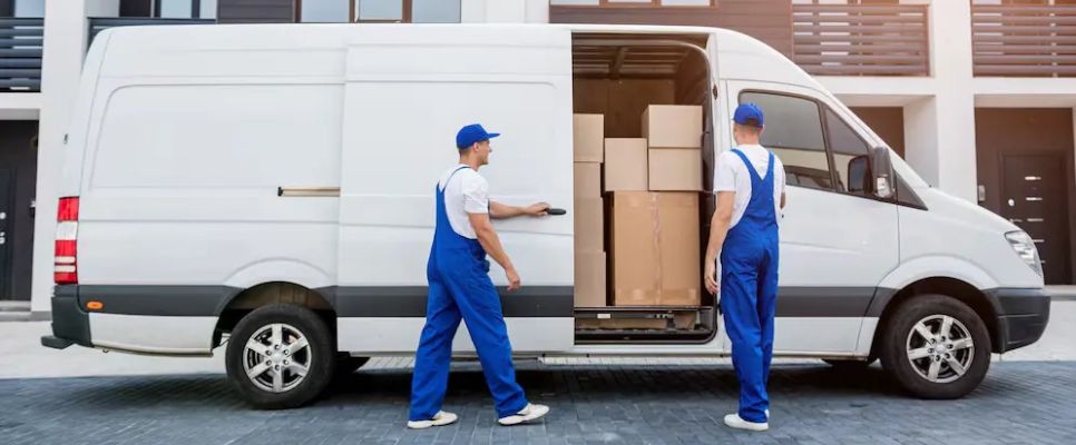 Professional Removalists