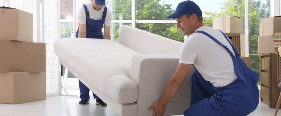Professional Furniture Movers